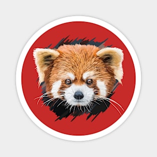 Red panda Magnet